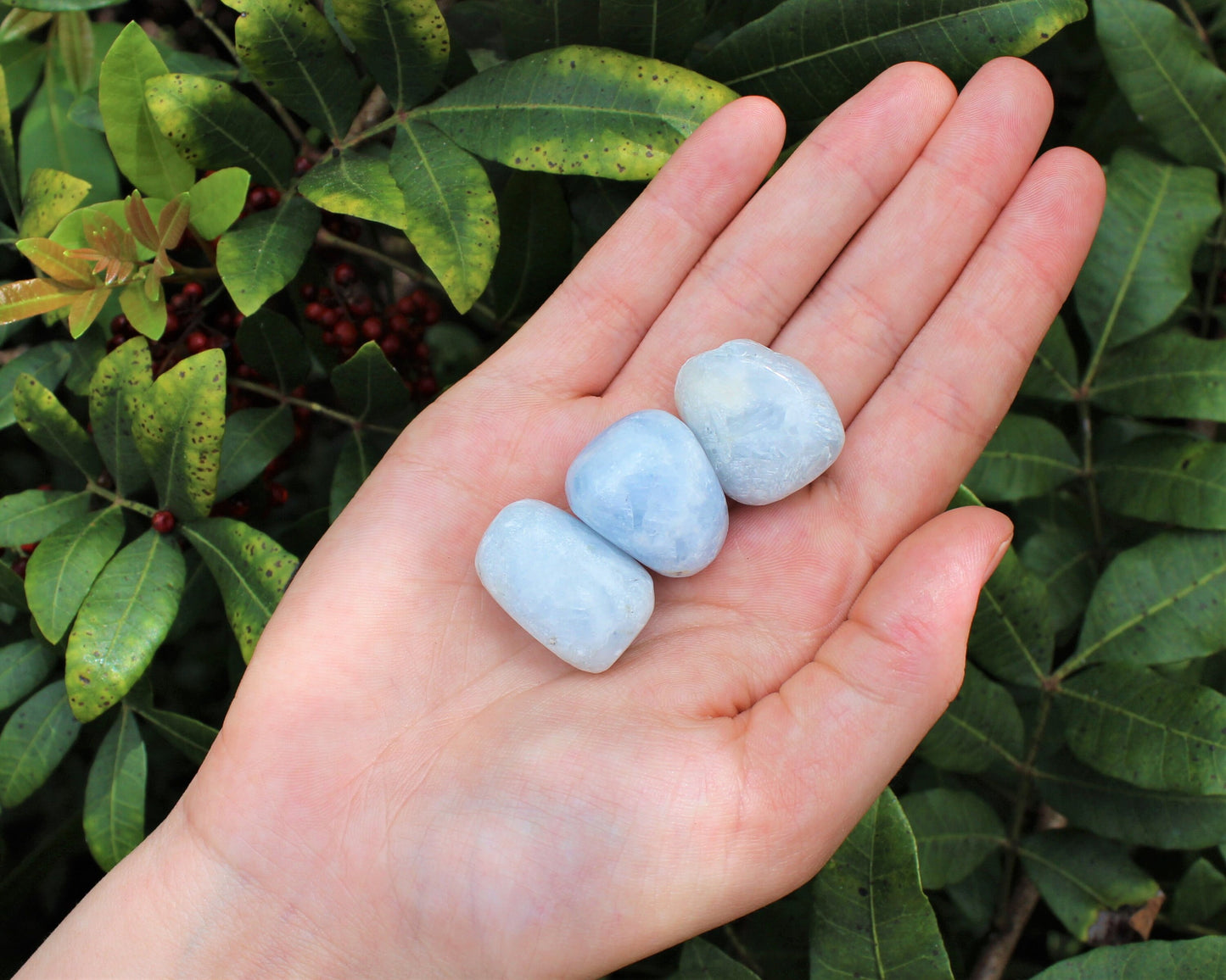 Orchid Calcite Radiant Tumbled Stones