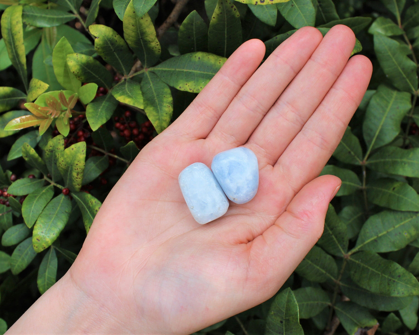 Orchid Calcite Radiant Tumbled Stones
