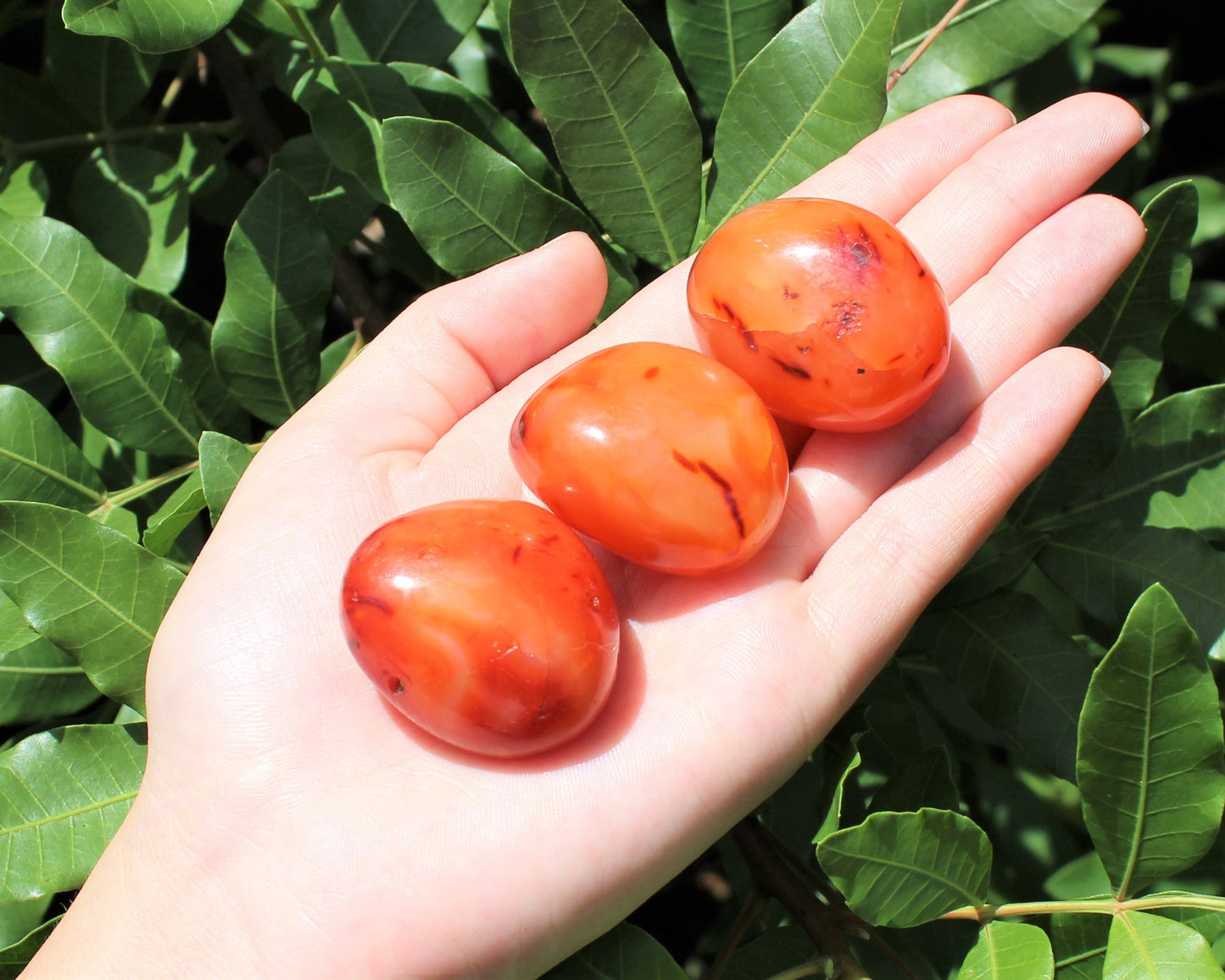 Carnelian Polished Stones