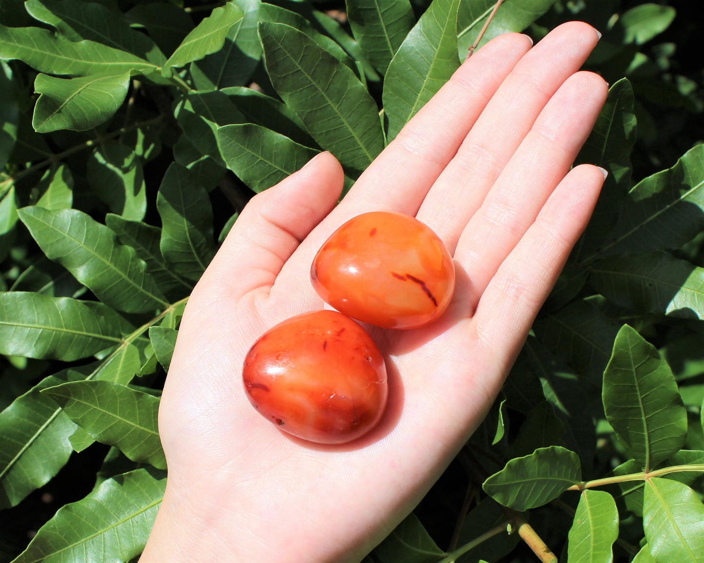 Carnelian Polished Stones