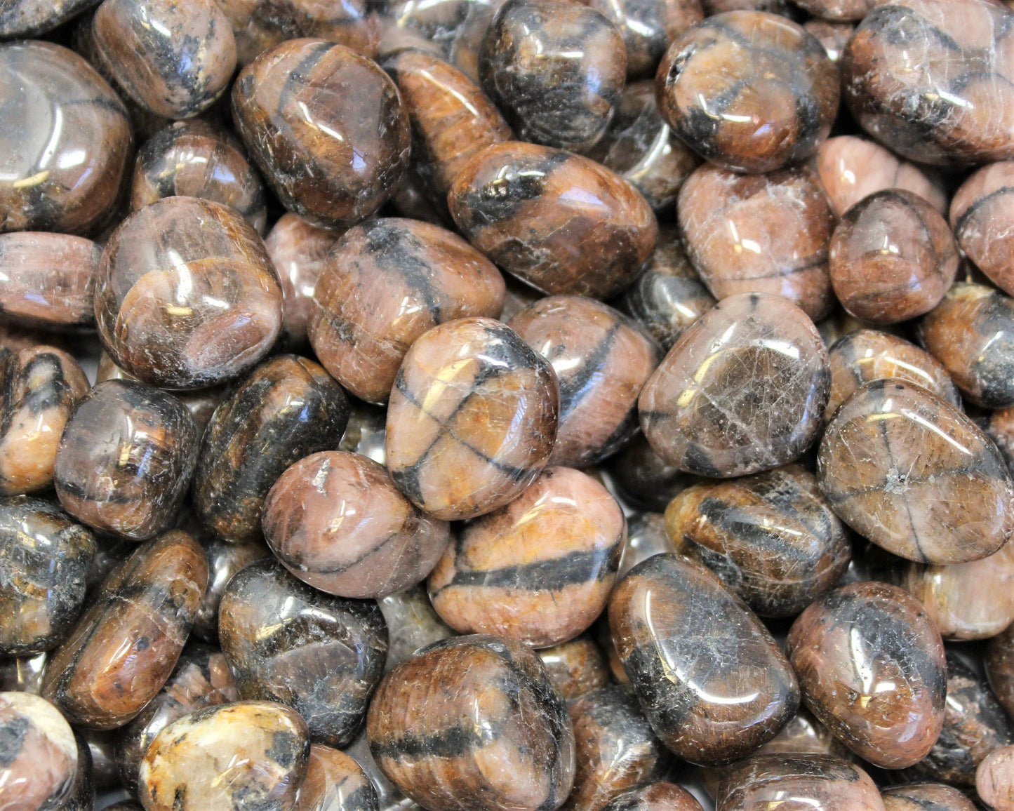 Chiastolite Tumbled Stones
