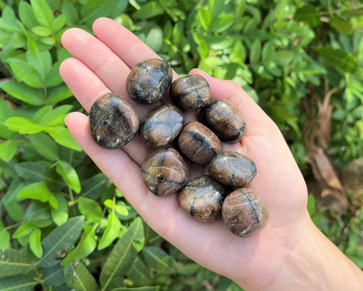 Chiastolite Tumbled Stones
