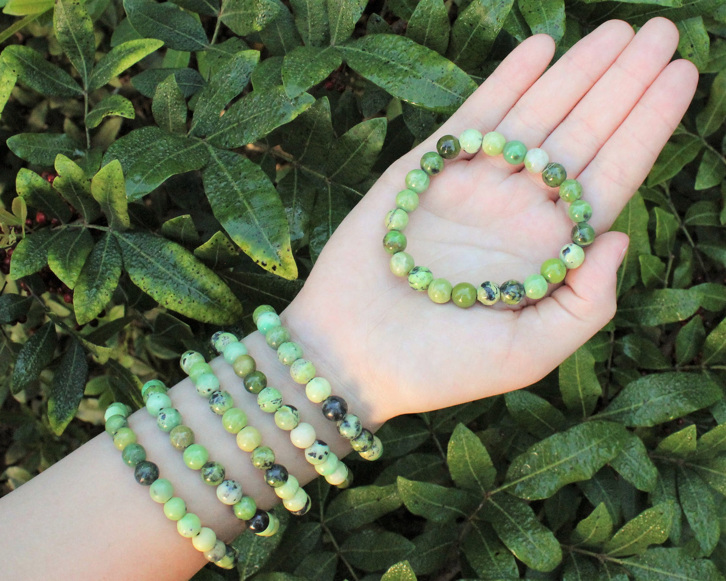 Chrysoprase Bracelet