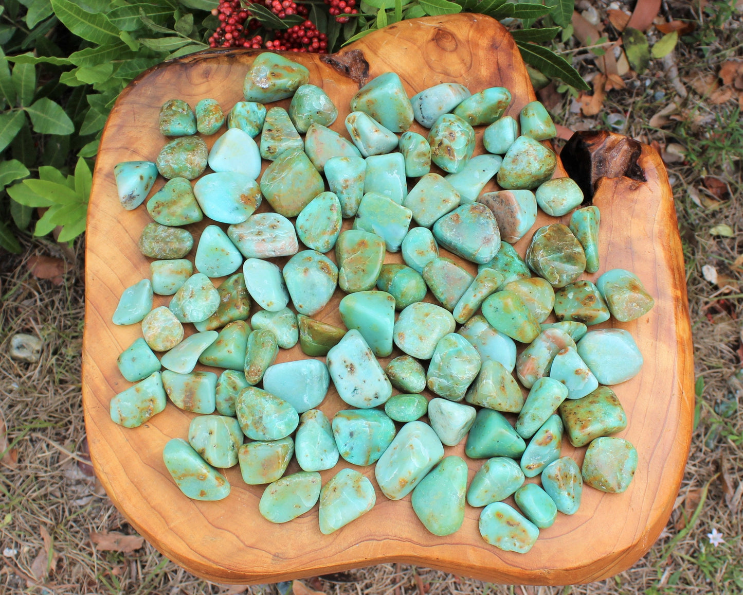 Chrysoprase Tumbled Stones