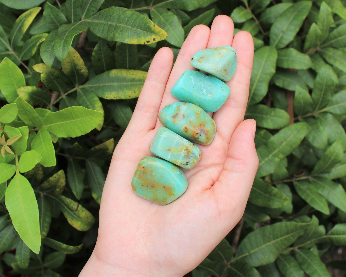 Chrysoprase Tumbled Stones