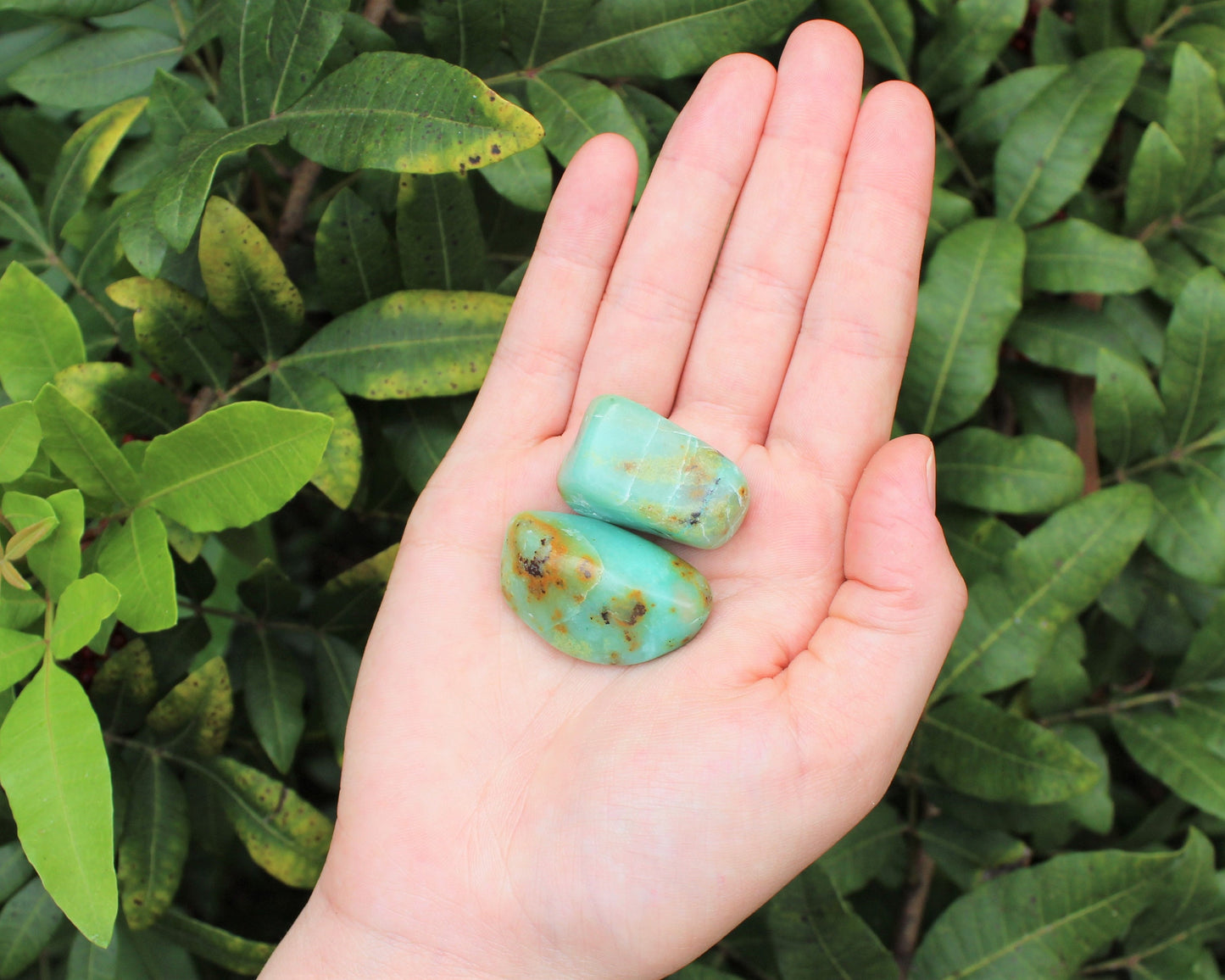 Chrysoprase Tumbled Stones