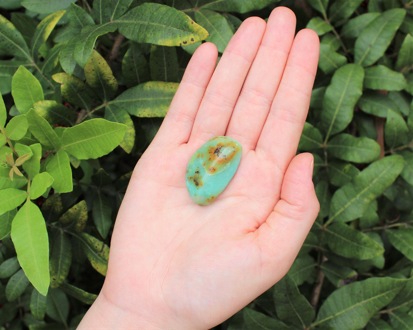 Chrysoprase Tumbled Stones