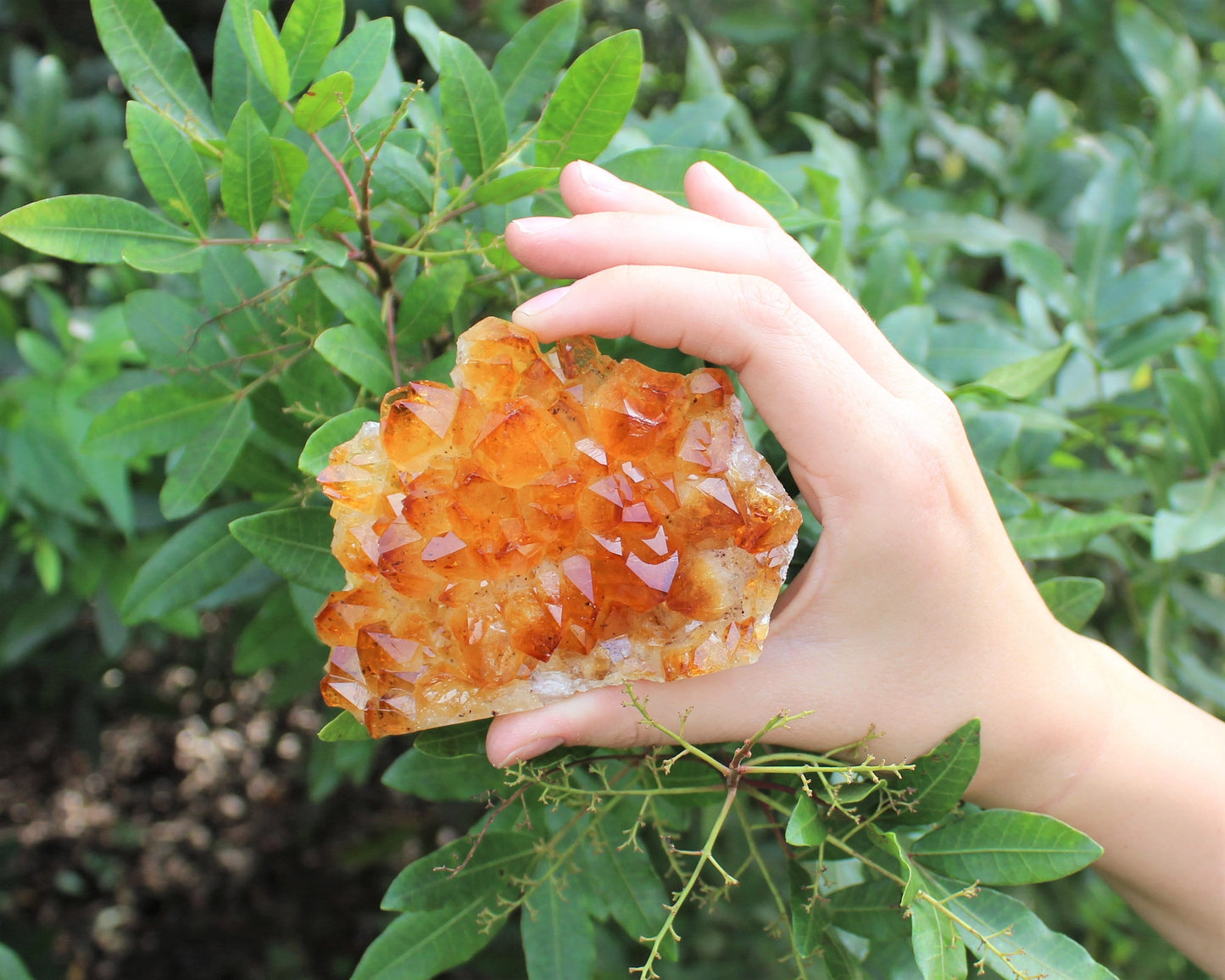 Citrine Crystal Cluster
