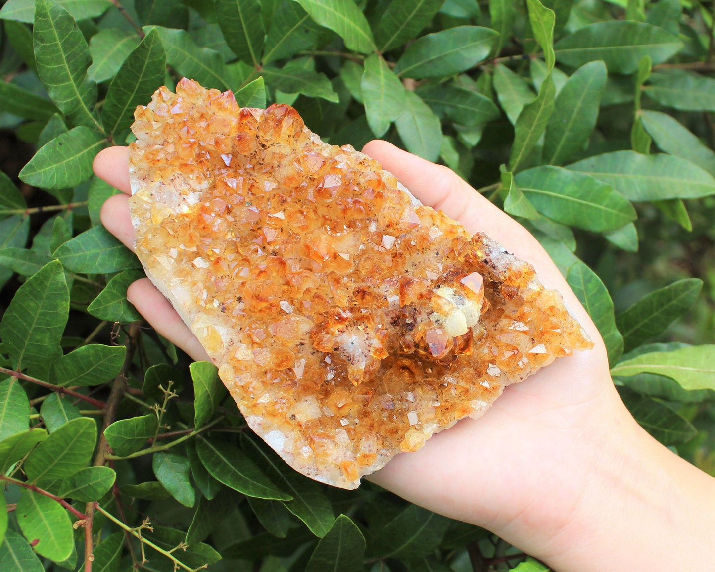 Citrine Crystal Cluster
