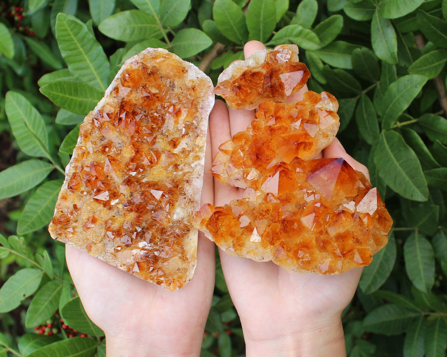 Citrine Crystal Cluster