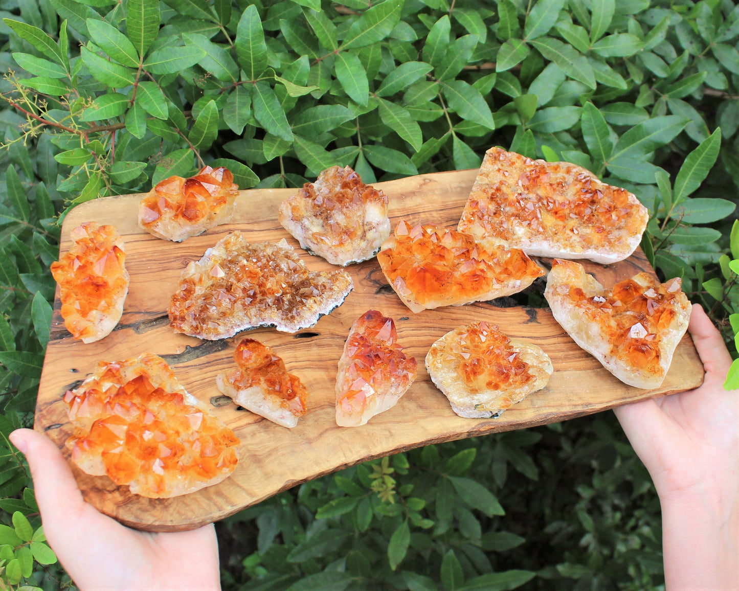 Citrine Crystal Cluster