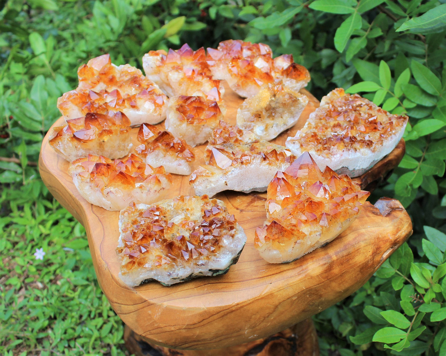 Citrine Crystal Cluster