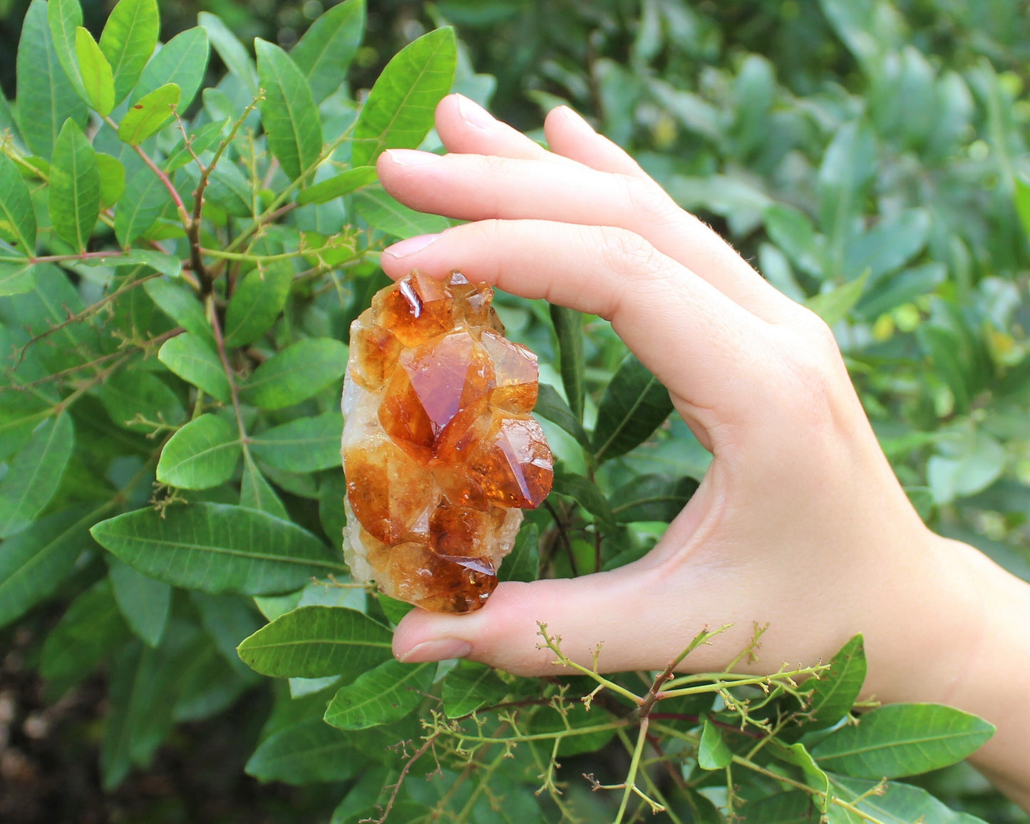 Citrine Crystal Cluster