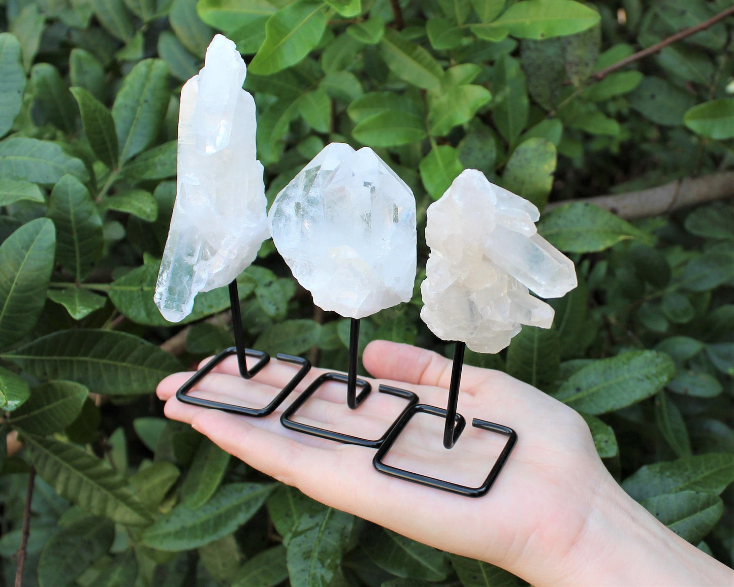 Clear Quartz Clusters On Metal Stand