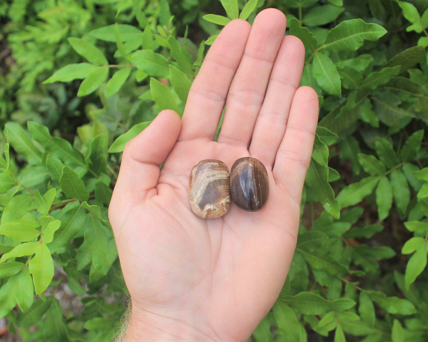 Coffee Calcite Tumbled Stones