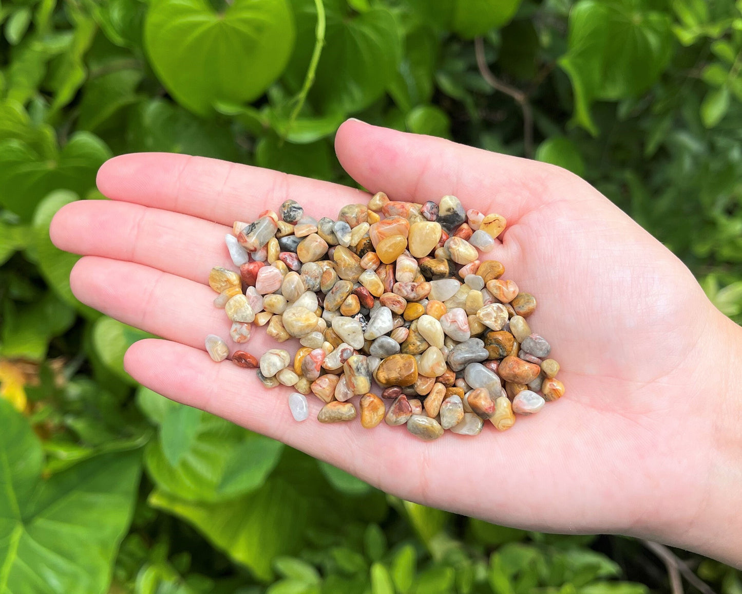 Crazy Lace Agate Semi Tumbled Gemstone Mini Chips