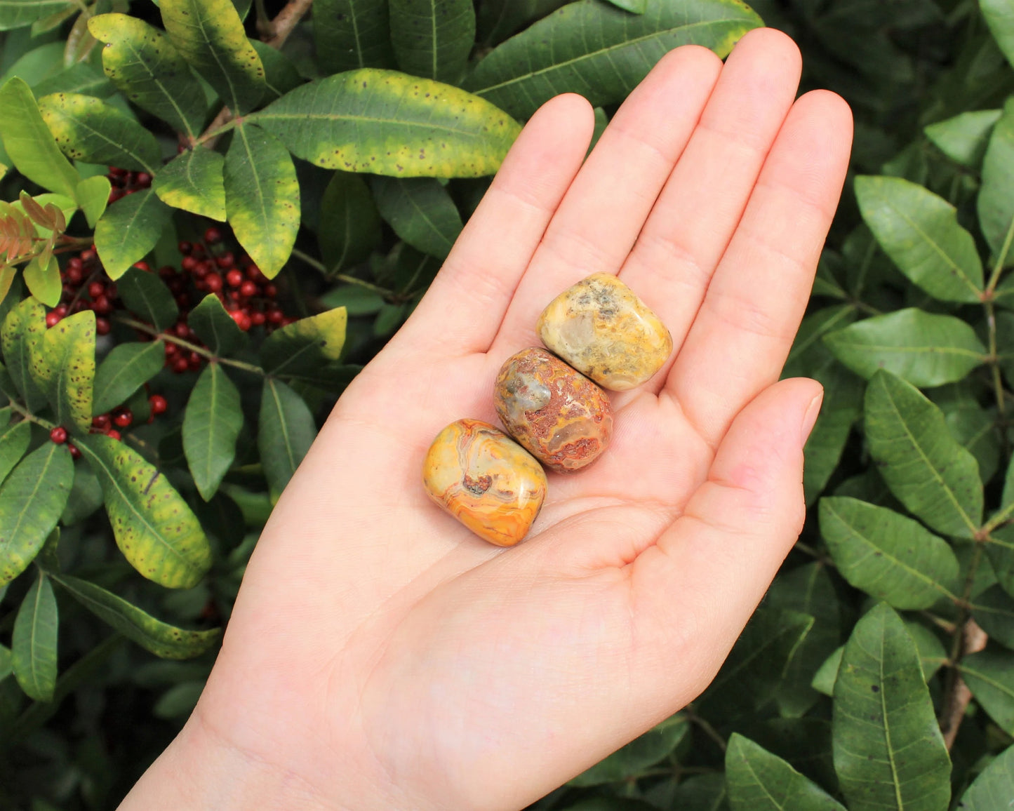 Crazy Lace Agate Tumbled Stones