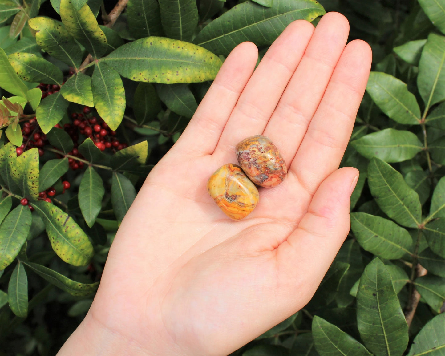 Crazy Lace Agate Tumbled Stones