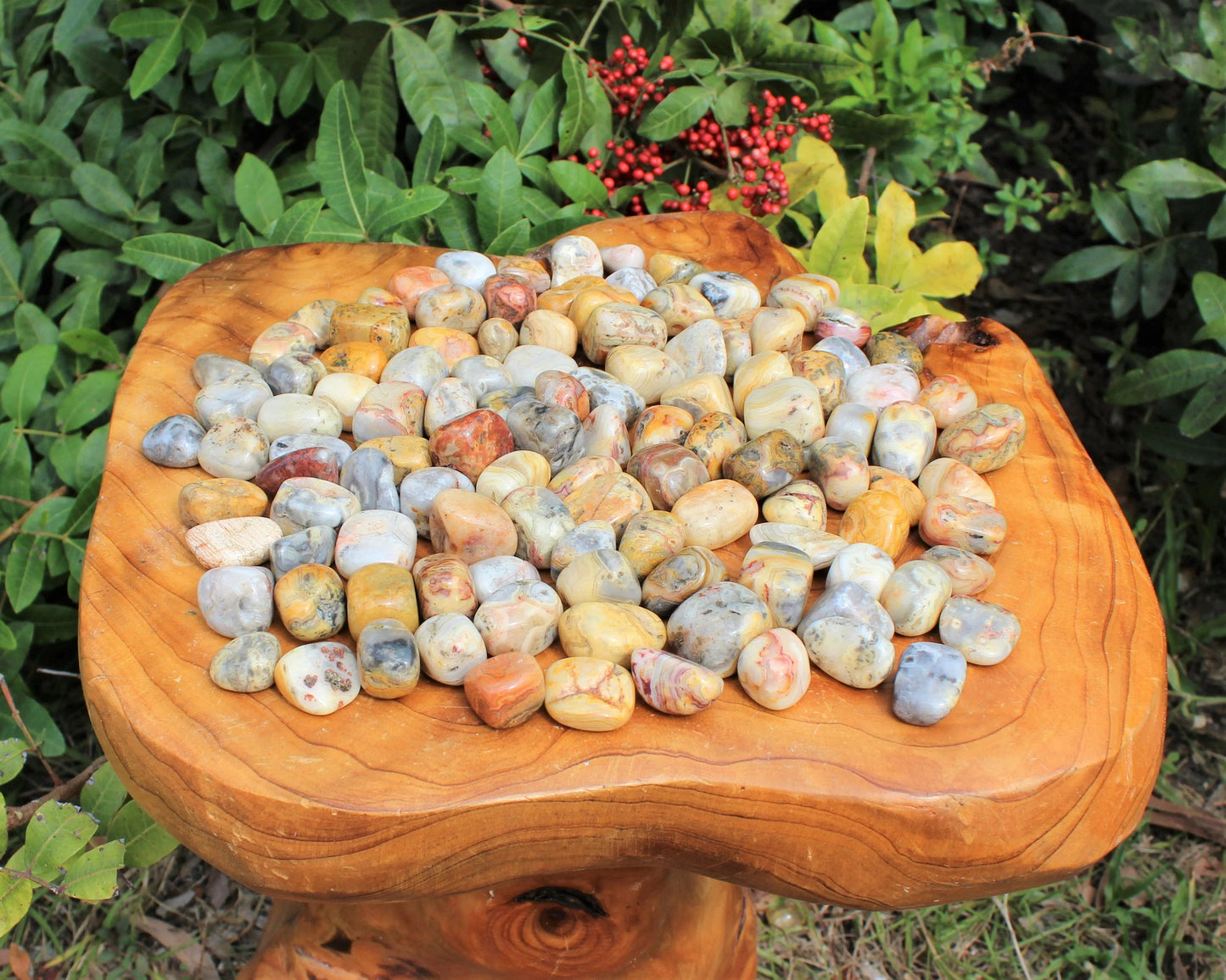 Crazy Lace Agate Tumbled Stones