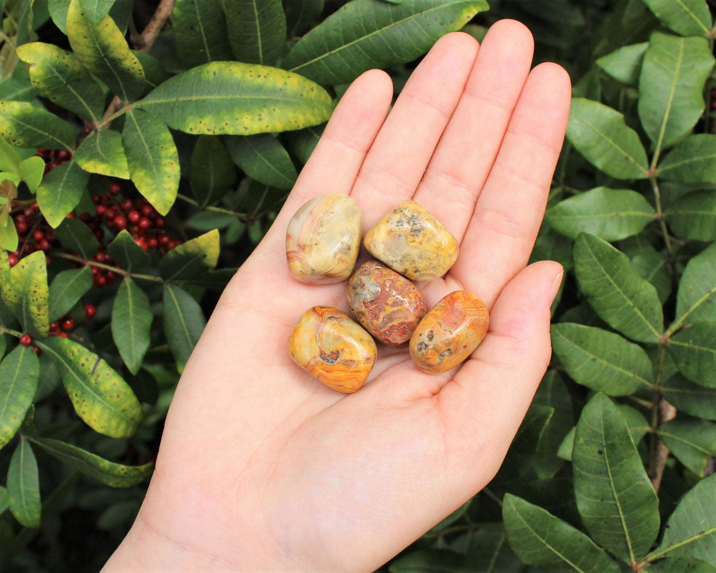 Crazy Lace Agate Tumbled Stones
