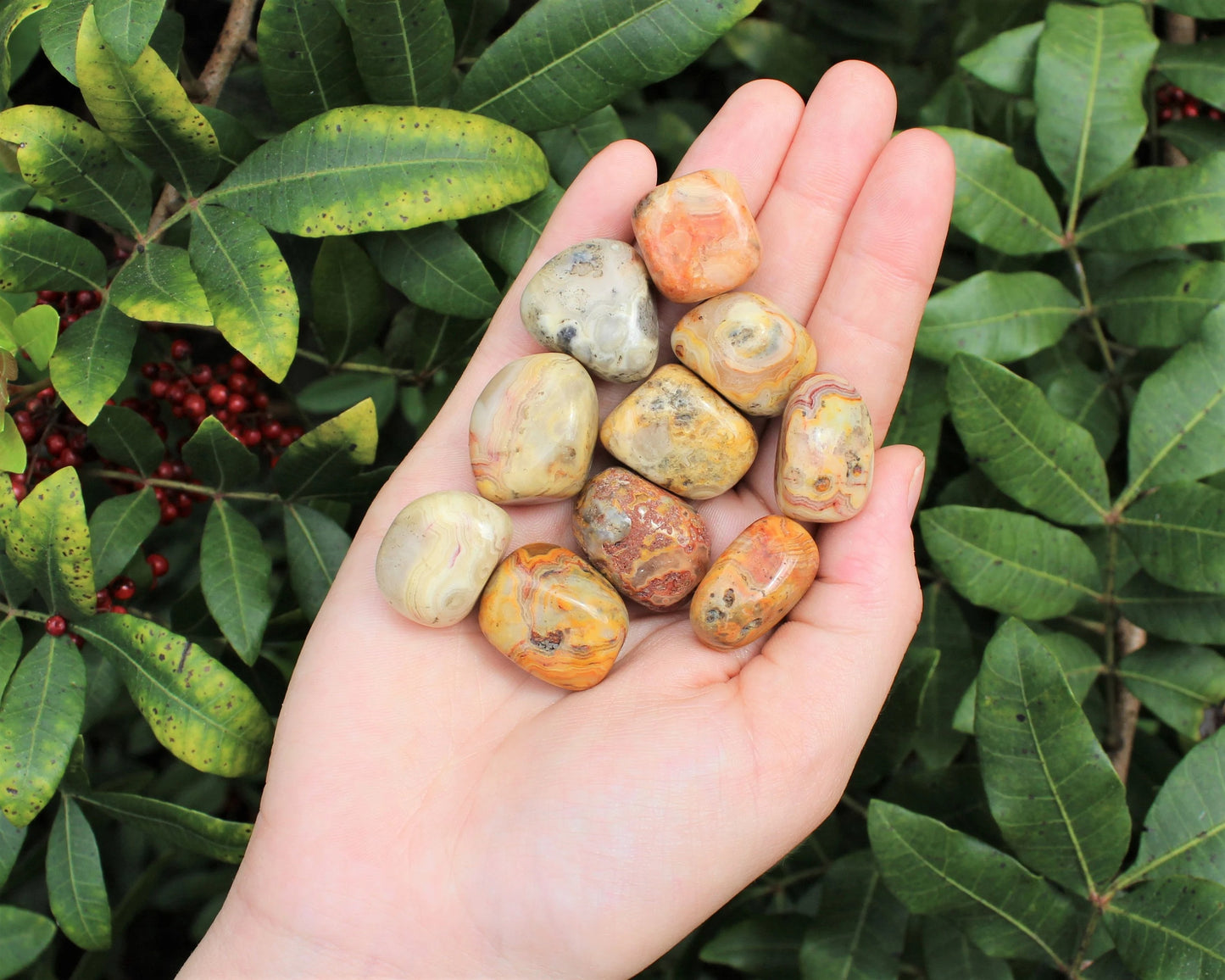 Crazy Lace Agate Tumbled Stones