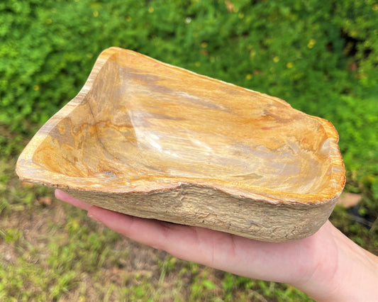 Crystal Petrified Wood Decor