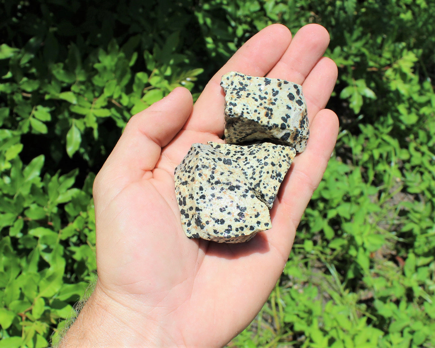 Dalmation Jasper Natural Rough Stones