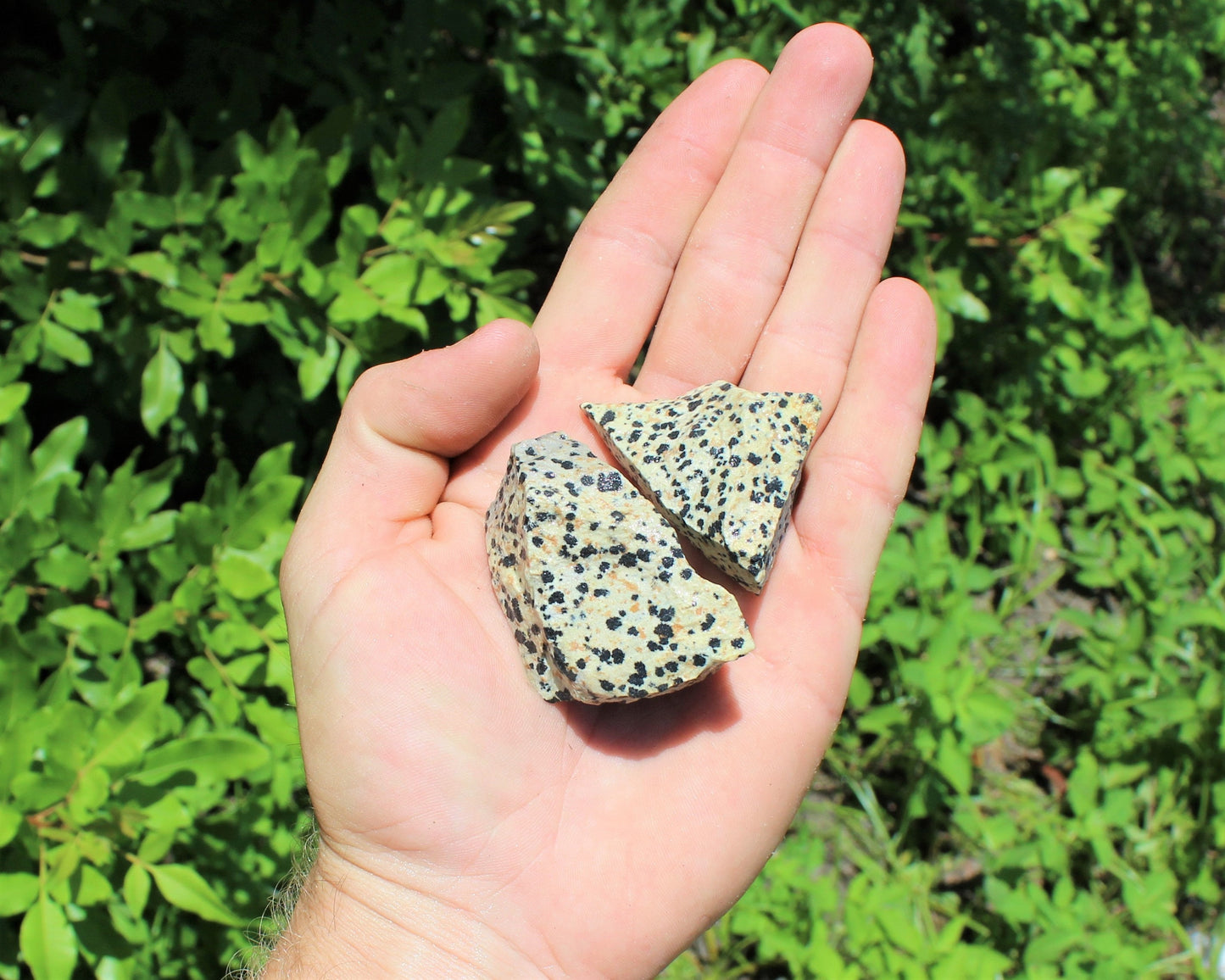 Dalmation Jasper Natural Rough Stones