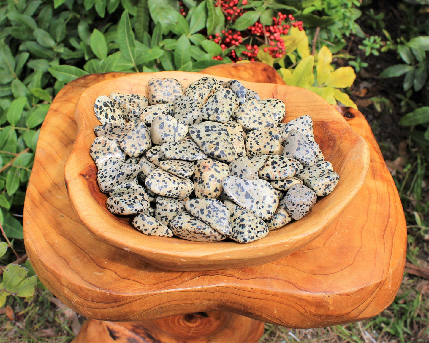 Dalmation Jasper Tumbled Stones