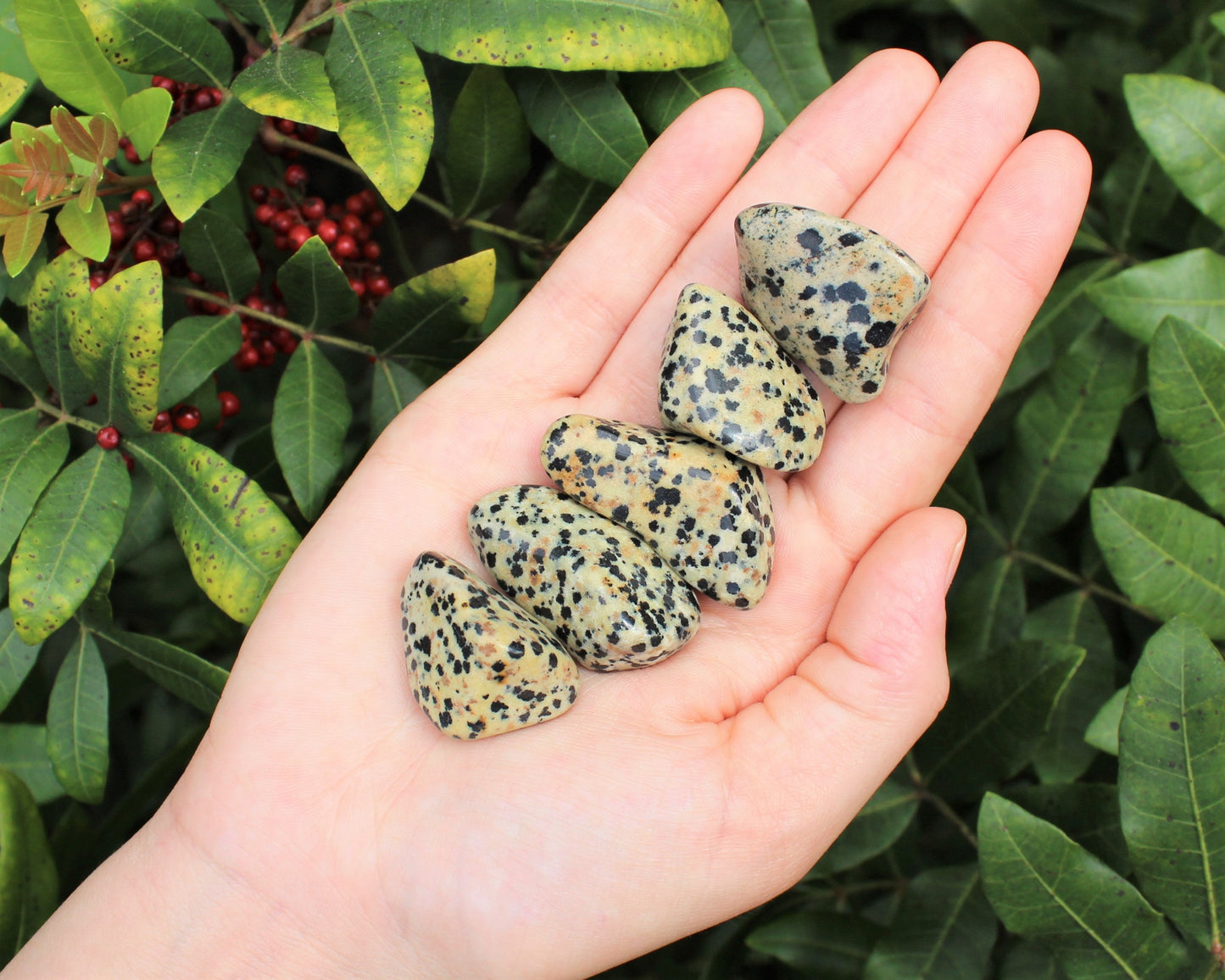 Dalmation Jasper Tumbled Stones