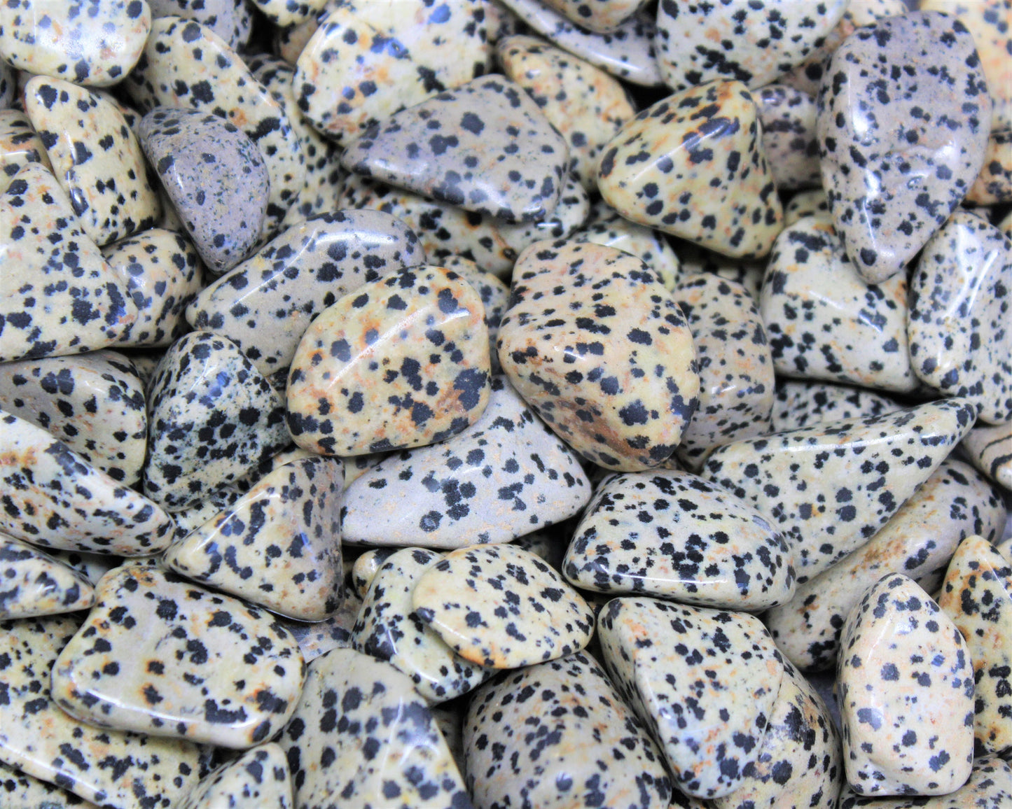 Dalmation Jasper Tumbled Stones