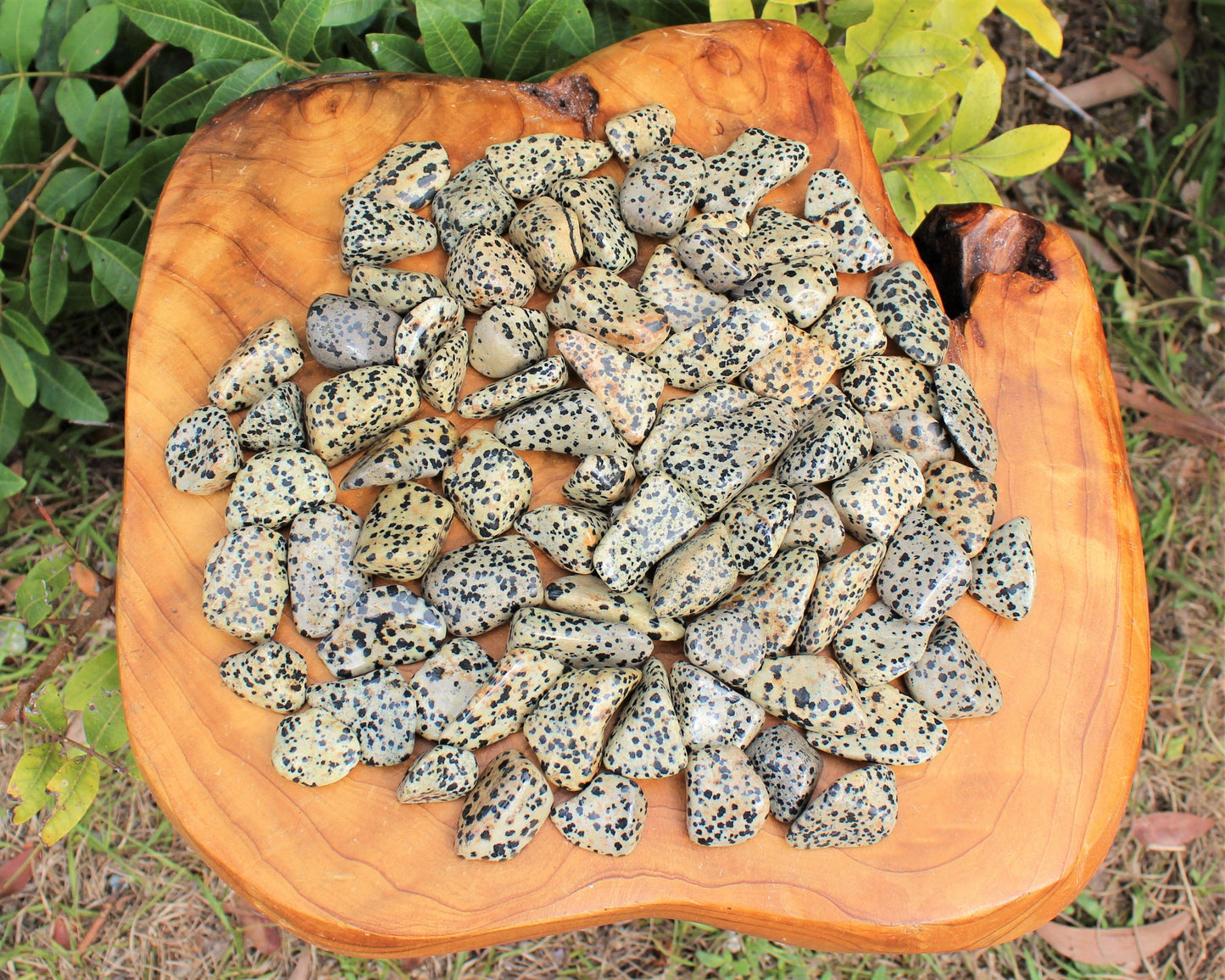 Dalmation Jasper Tumbled Stones
