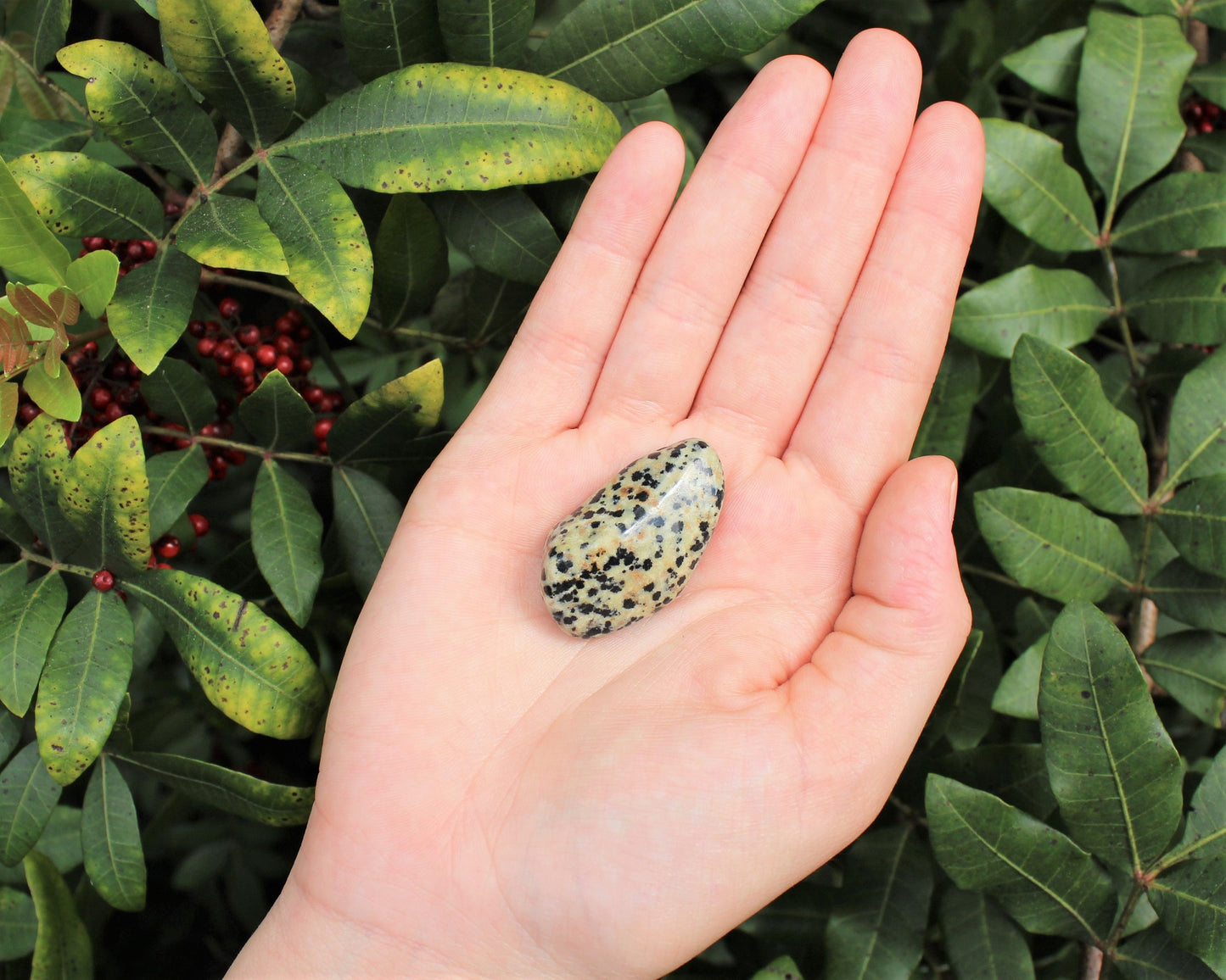 Dalmation Jasper Tumbled Stones