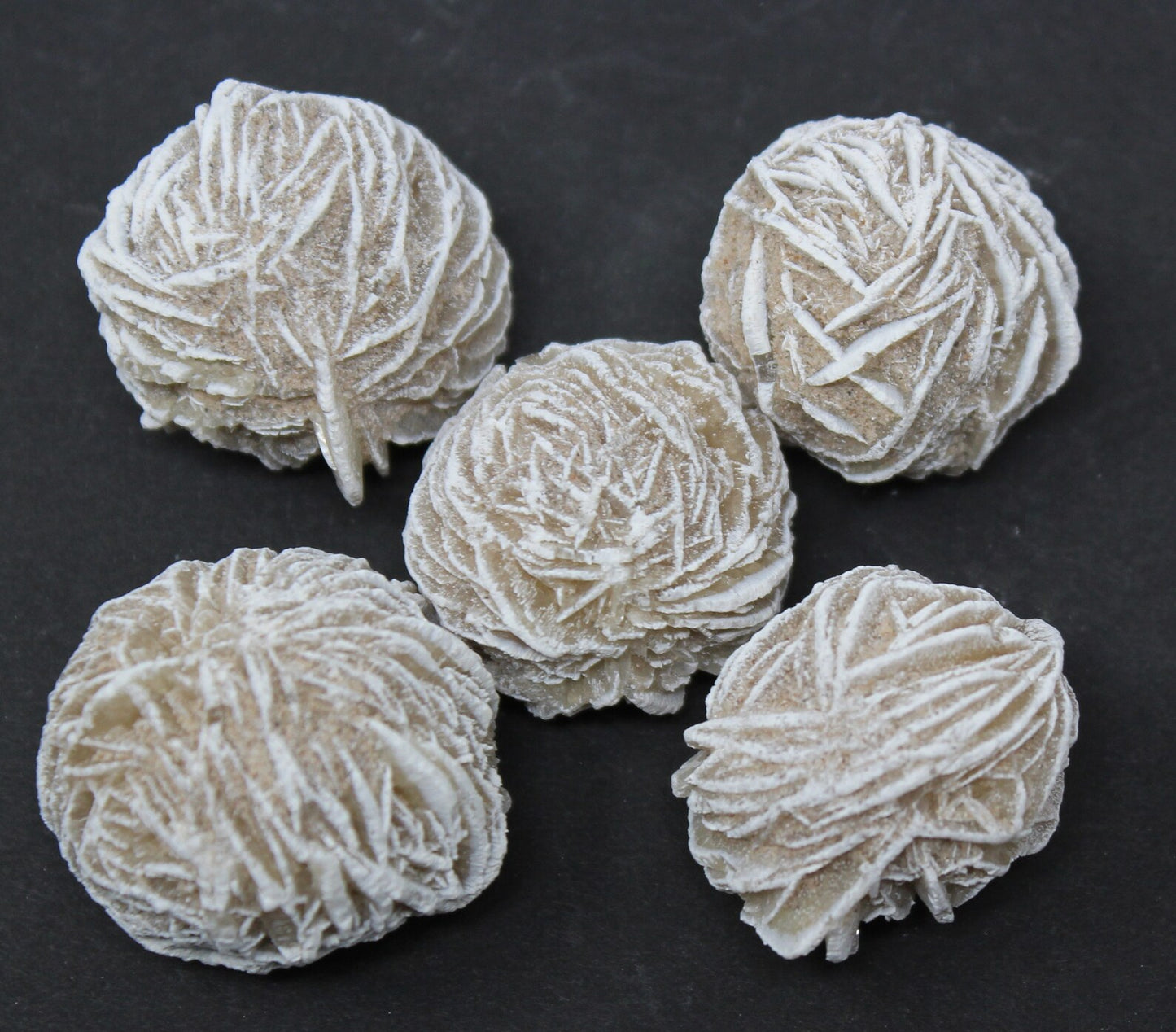 Desert Rose Selenite Flower Protection Set