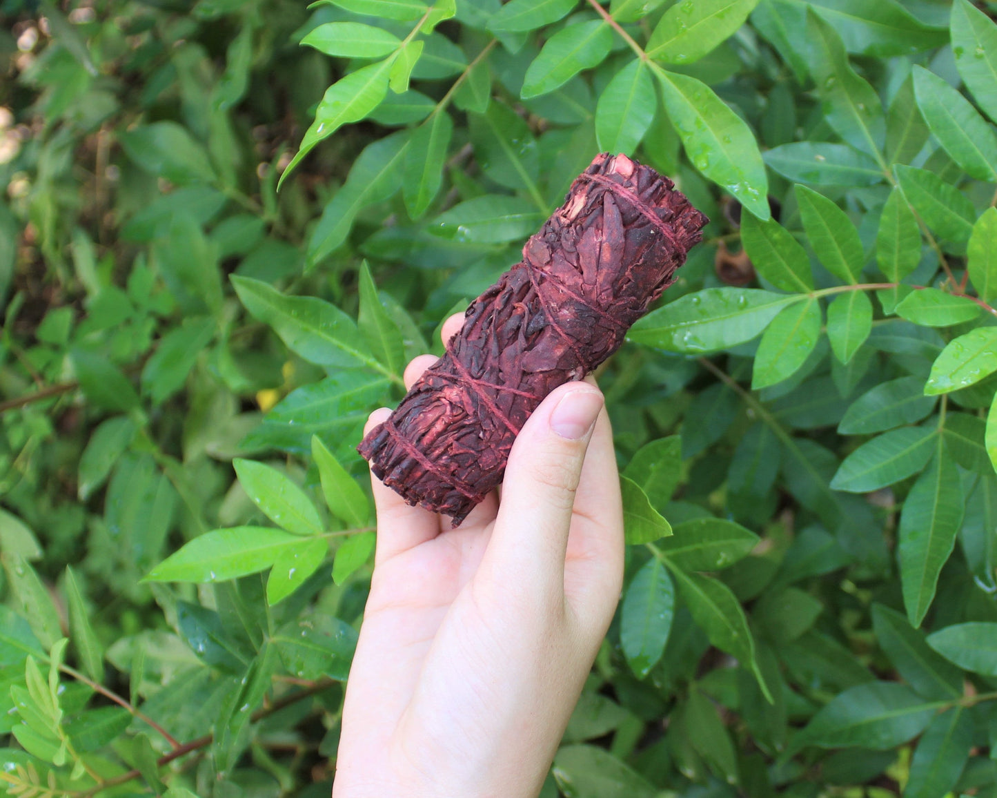 Dragons Vibrant Smudge Bundles