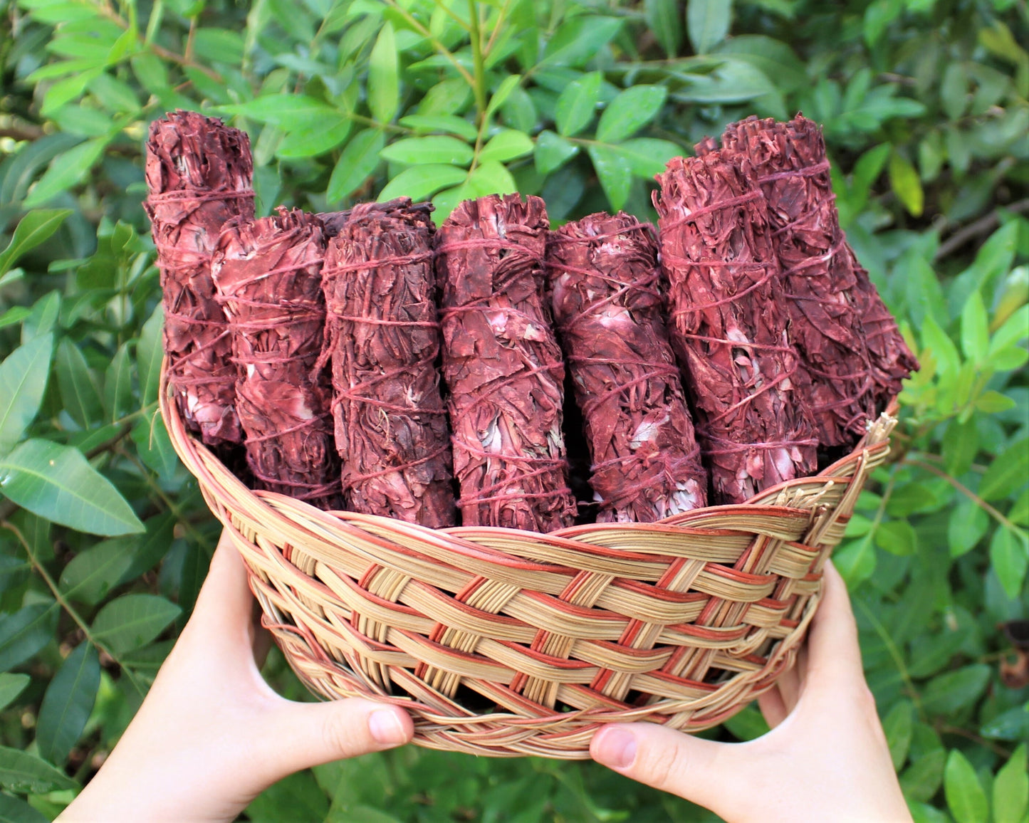 Dragons Vibrant Smudge Bundles
