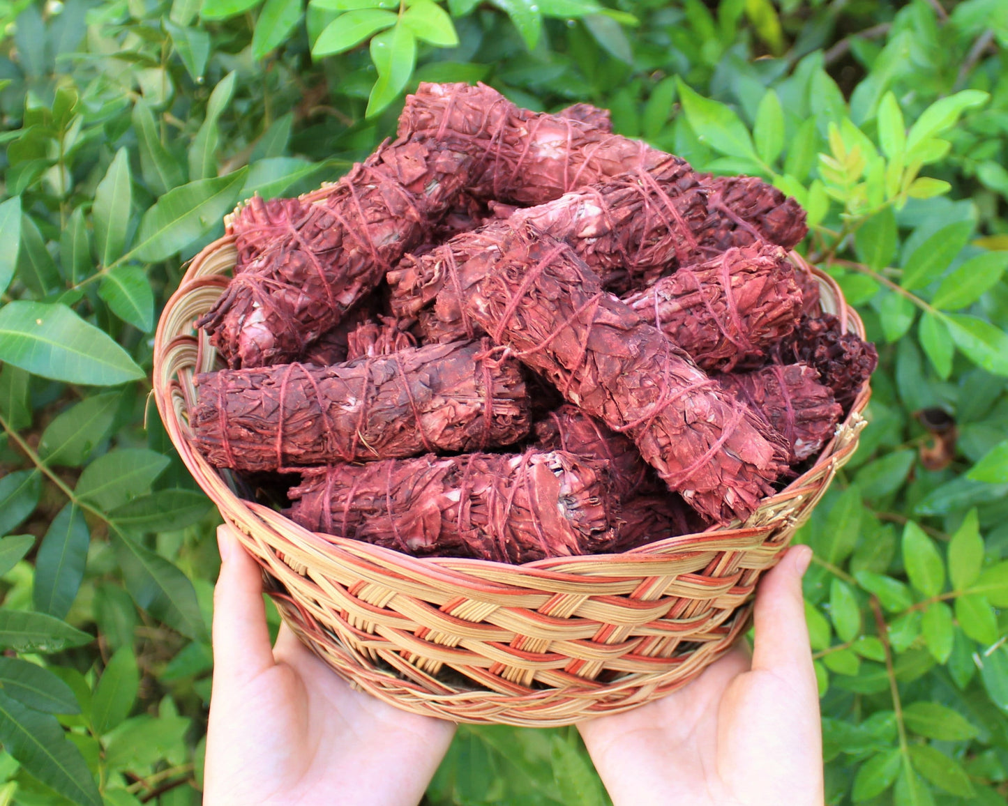 Dragons Vibrant Smudge Bundles