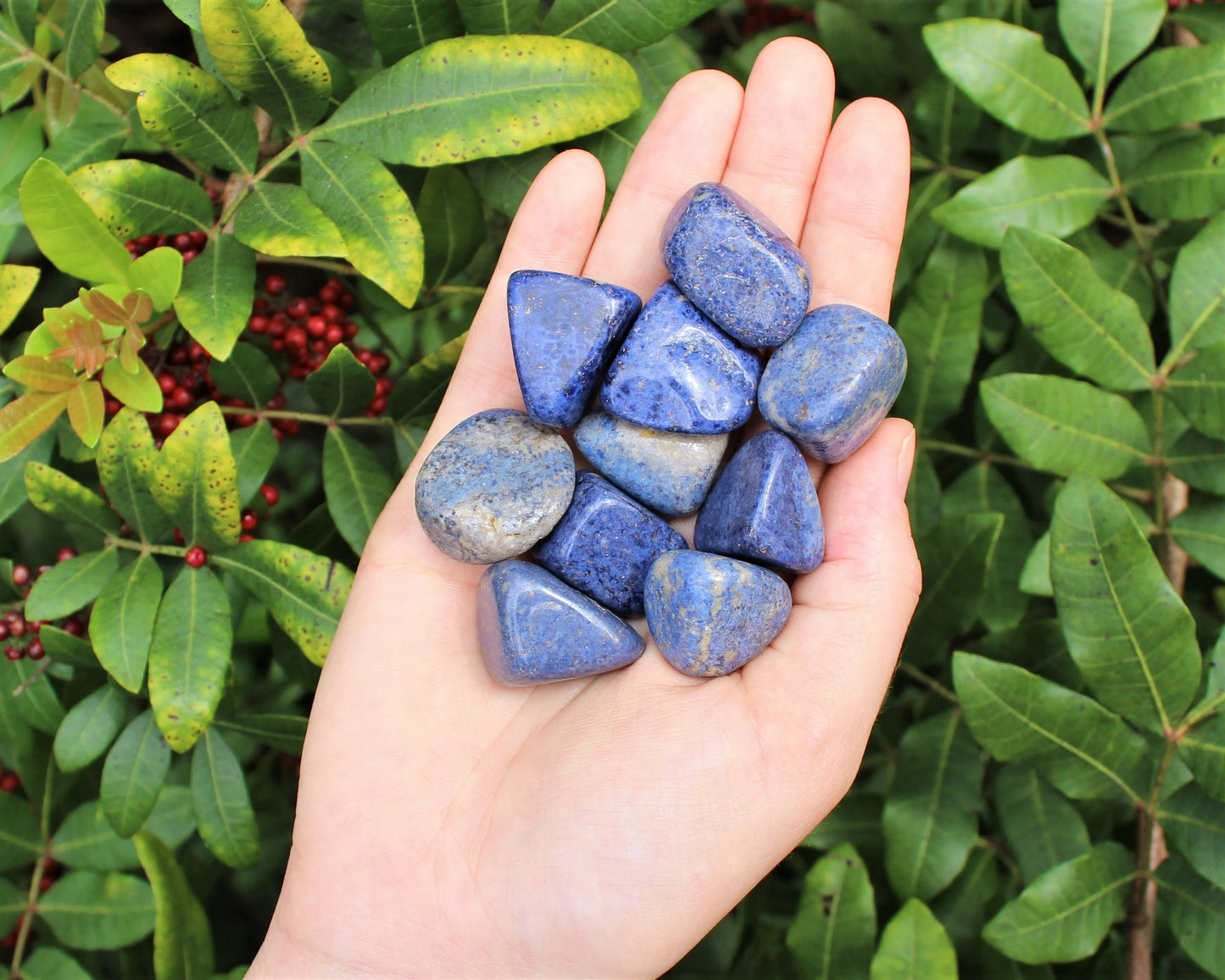 Dumortierite Tumbled Stones