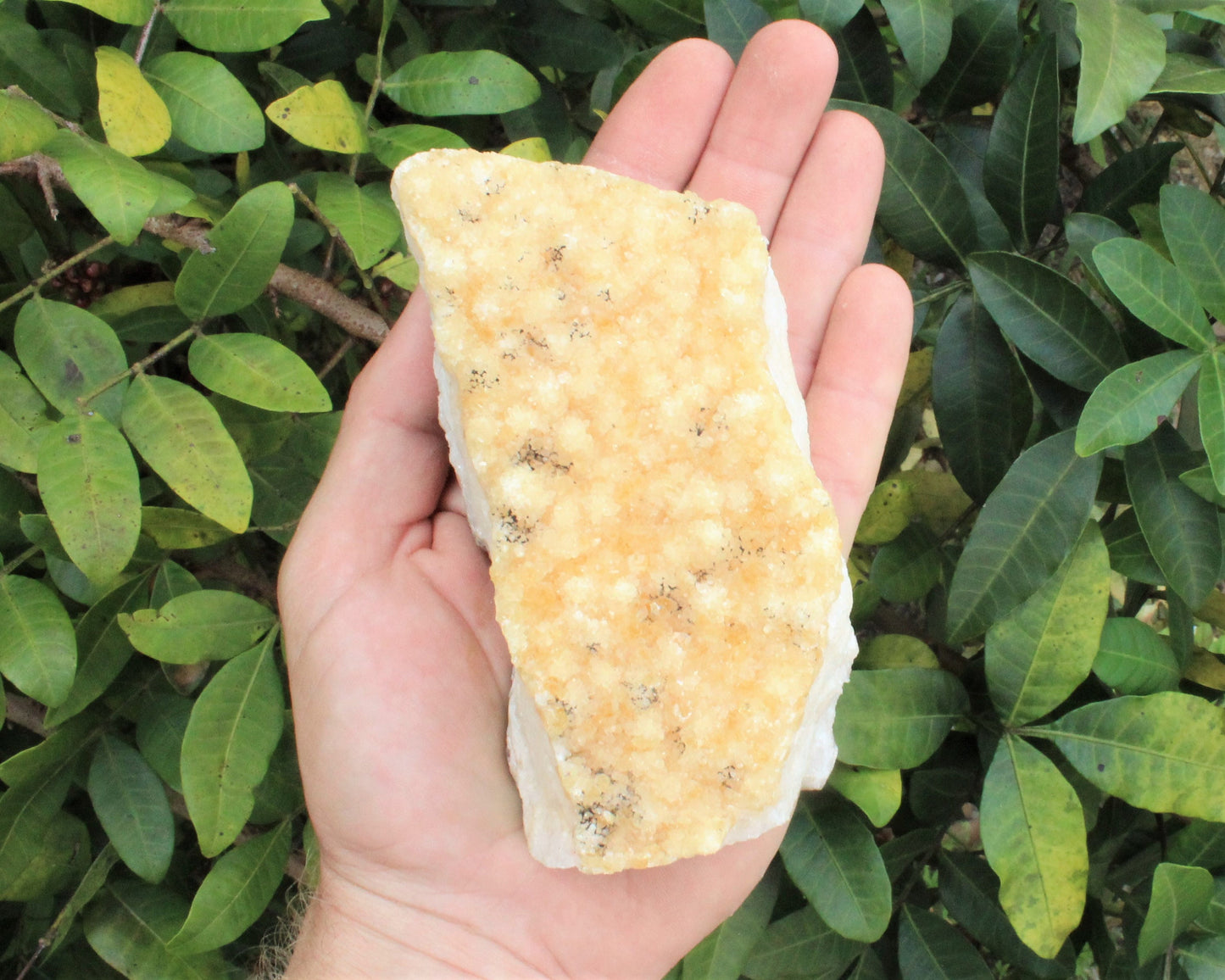 Flat Base Cluster