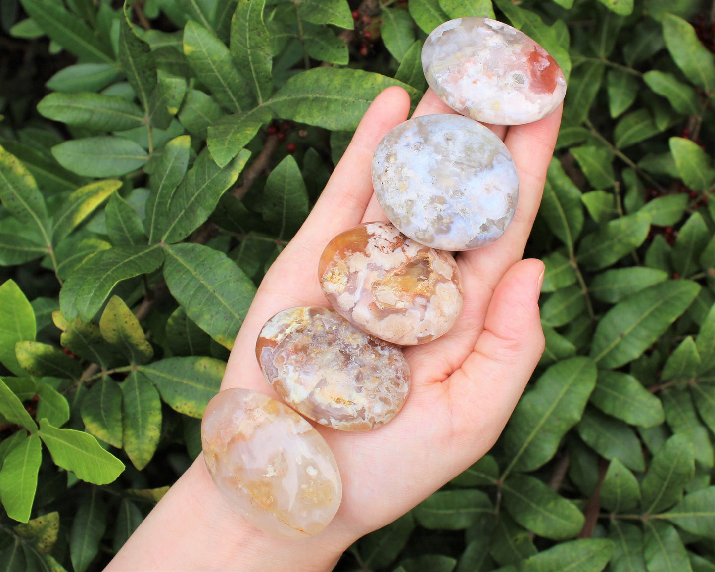 Flower Agate Polished Stones