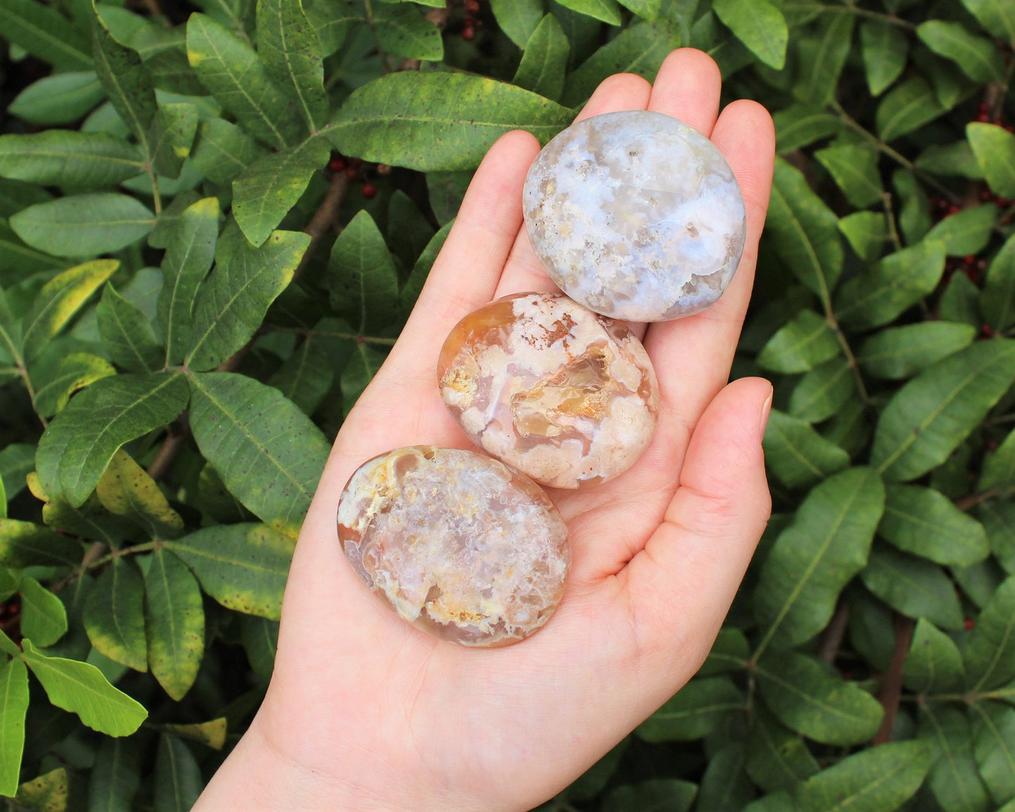 Flower Agate Polished Stones