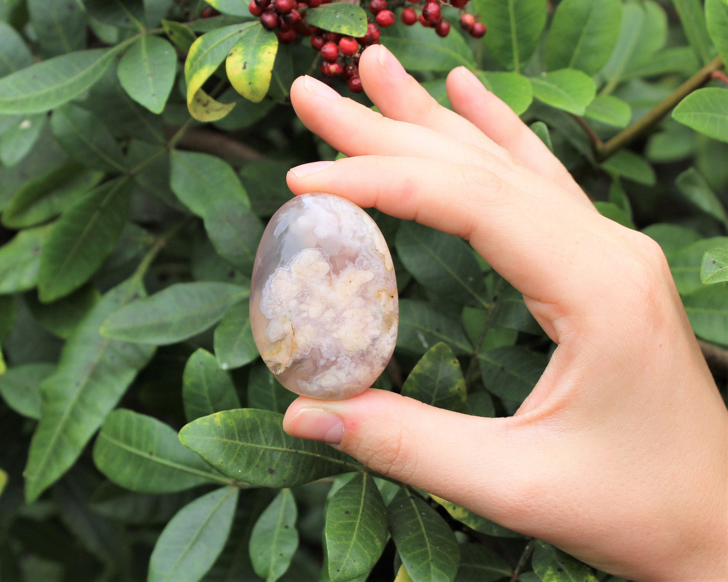 Flower Agate Polished Stones