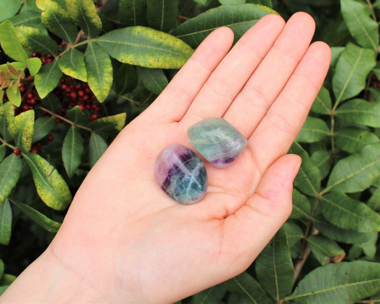 Fluorite Tumbled Stones