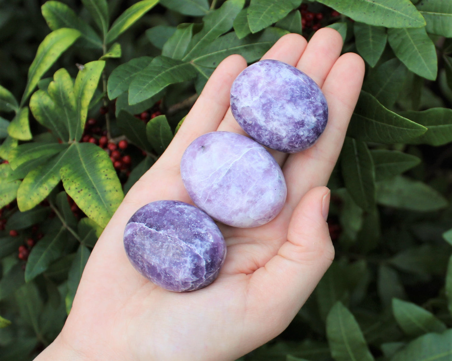 Grade Polished Lepidolite