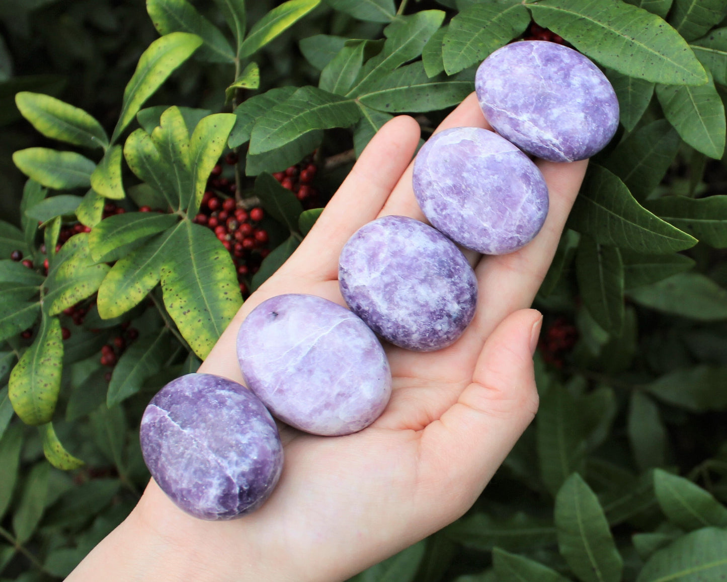 Grade Polished Lepidolite