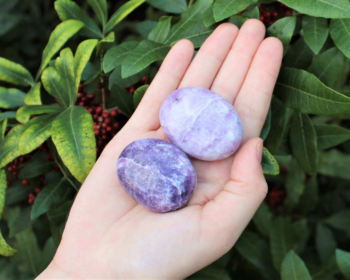 Grade Polished Lepidolite