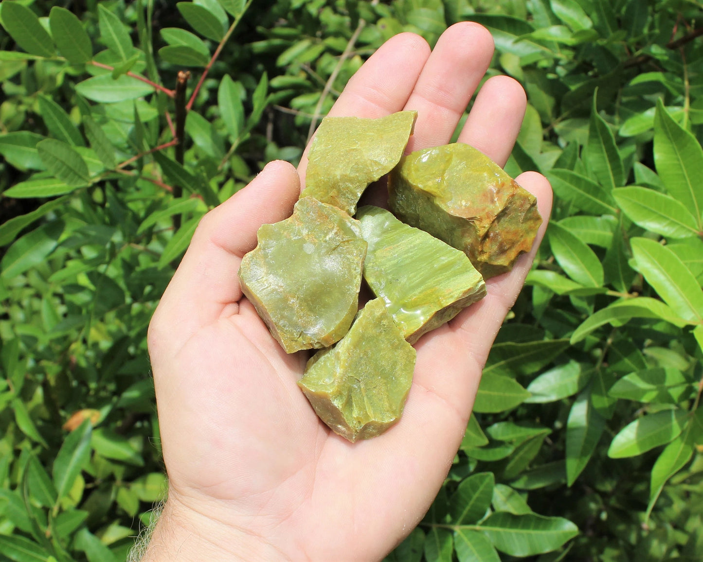 Opal Raw Natural Stones