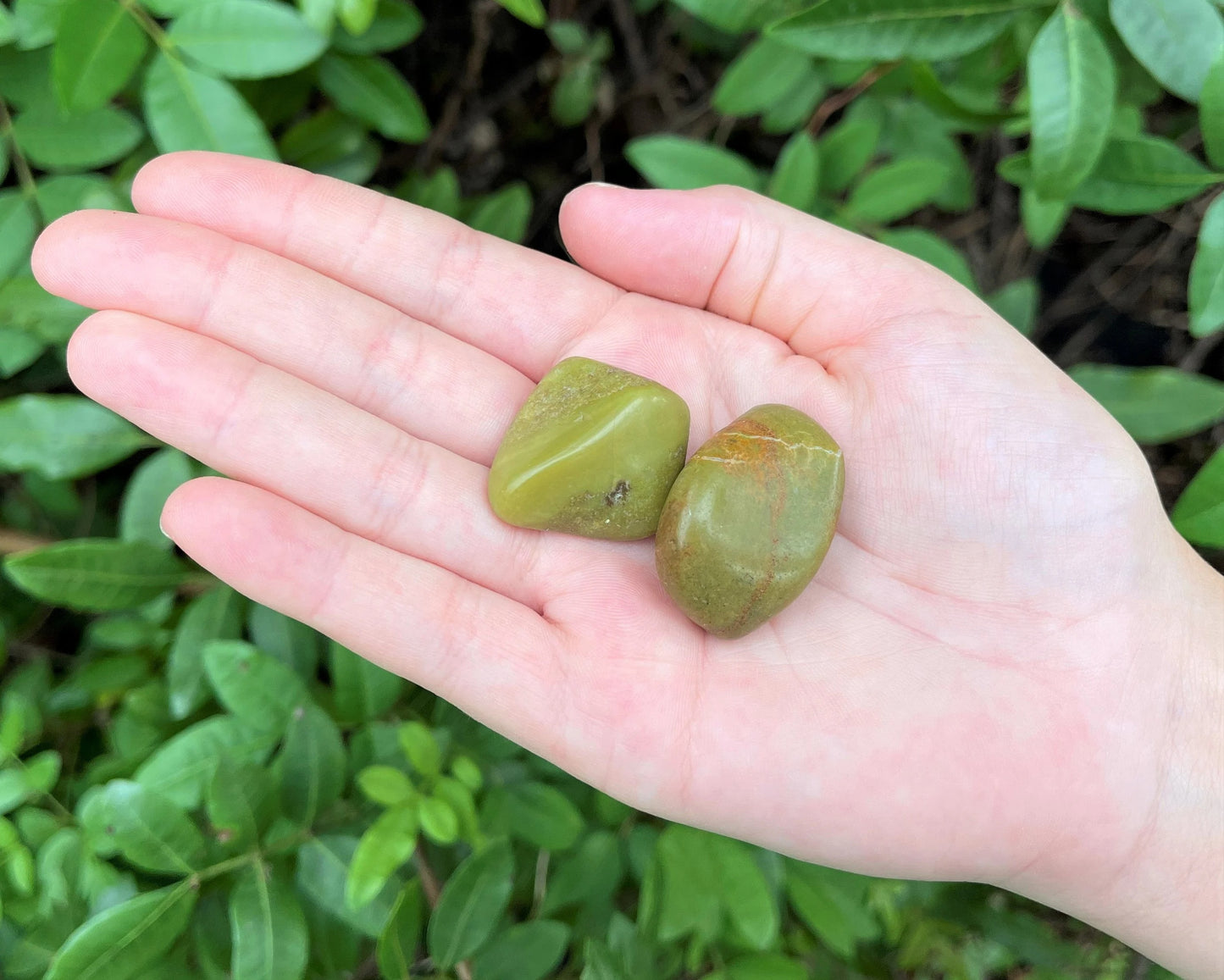 Opal Tumbled Stones