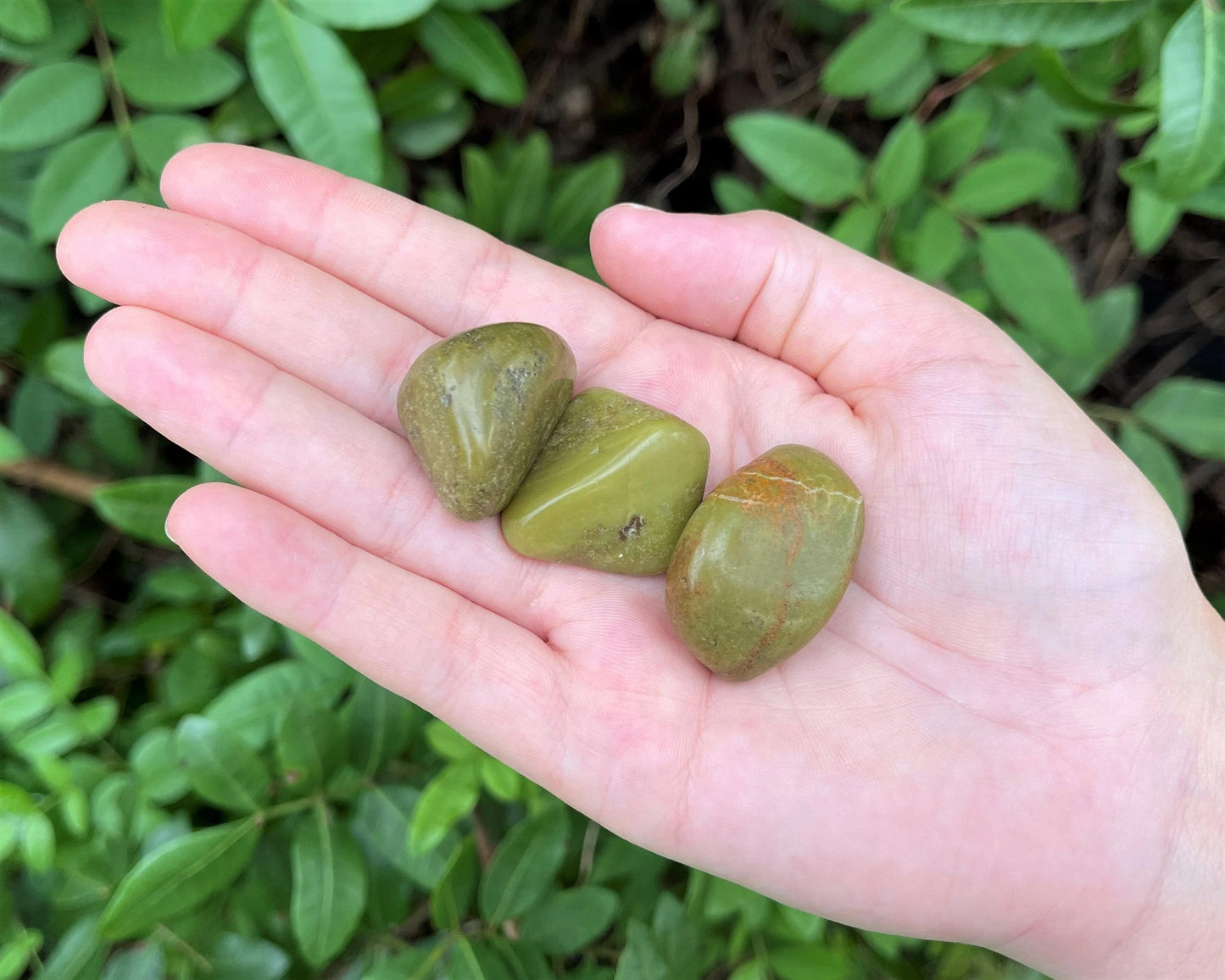 Opal Tumbled Stones
