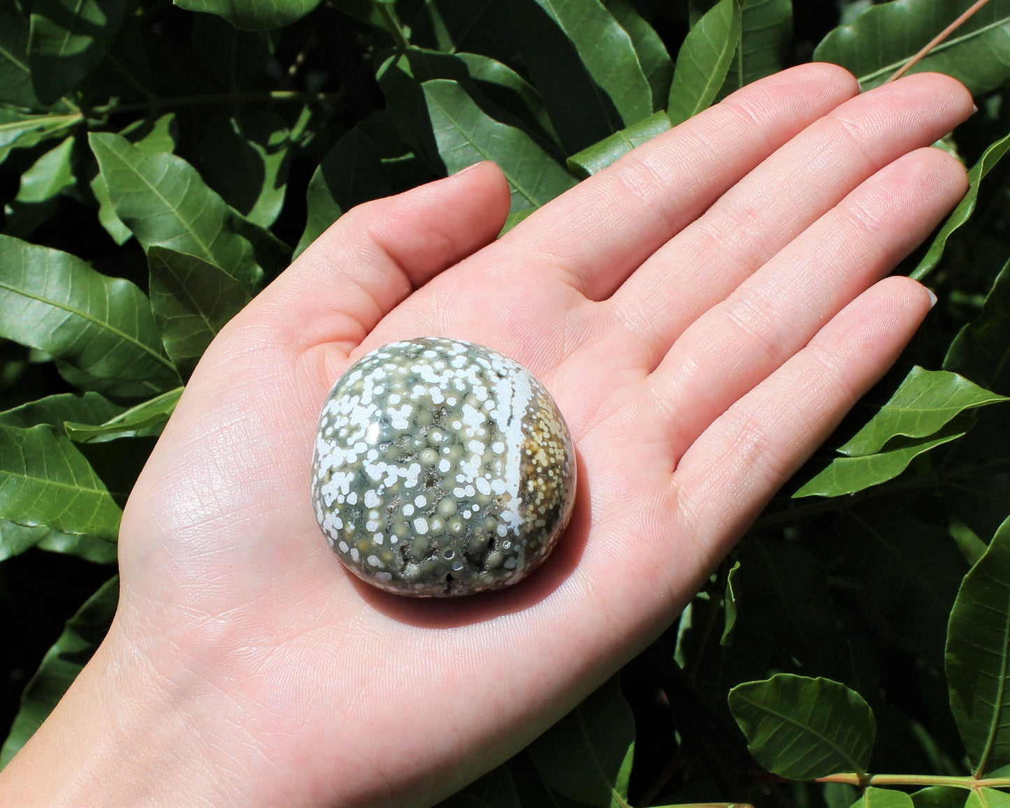 Polished Ocean Jasper Crystal